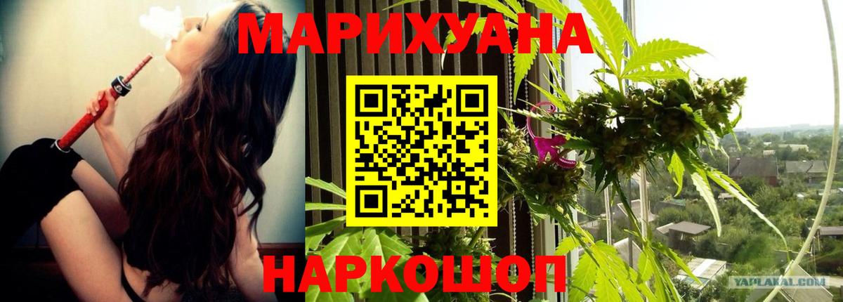 Марихуана семена  Бошки марихуана Bruce Banner  Выборг  Марихуана сатива  Вход с VPN 